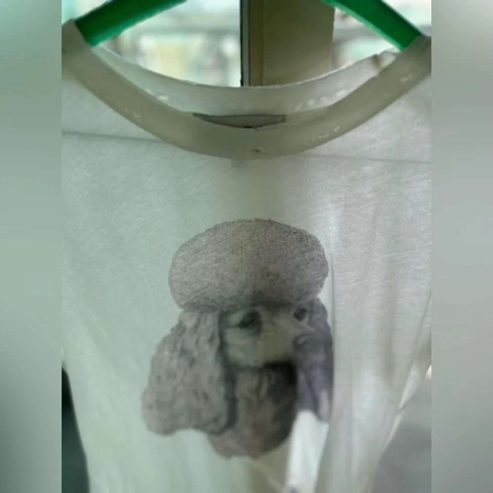 Wildfox “Poodle” T-shirt - Picture 5 of 7